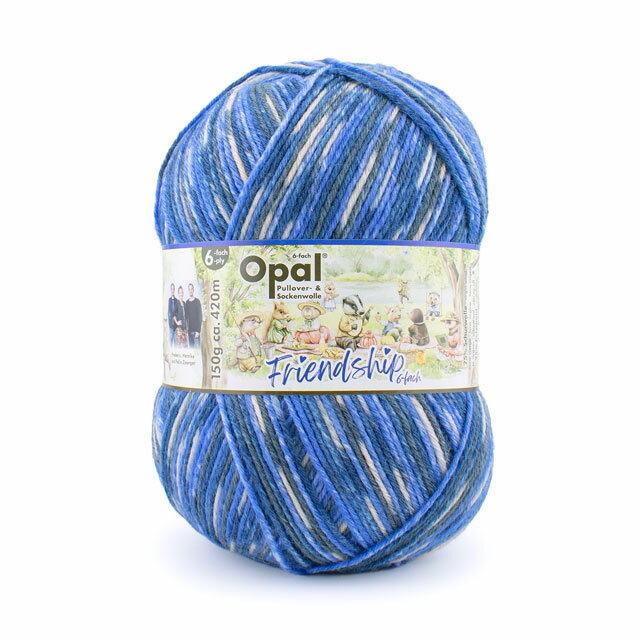 毛糸 Opal-オパール- フレンドシップ 6ply/6本撚り 11562.演奏しよう 06Co99j