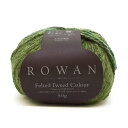 毛糸 ROWAN-ローワン- Felted Tweed Colour フェルテッドツイードカラー（9802243） 27.Succulent (M)_b1j