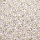 生地 LIBERTY FABRICS リバティ・ファブリックス タナローン エターナル Michelle ミシェル（3636017） EE (H)_k4j