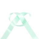 \期間限定10%OFF/ サテンリボン ダブルシルクサテン(2000) 18mm 91.ミント 07Aa99_