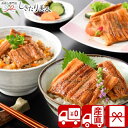 【お中元 送料無料 産地直送】下関 音 天然煮あなご炙りセット 75086 |御中元 暑中見舞い 残暑見舞い 夏ギフト 2025 お取り寄せ グルメ 穴子 煮穴...