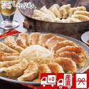 【お中元 送料無料 産地直送】静岡B級グルメ浜松餃子45粒 75132 |御中元 早割 暑中見舞い 残暑見舞い 夏ギフト 2025 お取り寄せ グルメ 餃子 中...