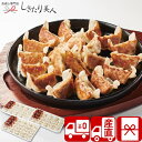 【お中元 送料無料 産地直送】博多一口ぎょうざ 75133 |御中元 早割 暑中見舞い 残暑見舞い 夏ギフト 2025 お取り寄せ グルメ 餃子 中華料理 点心...