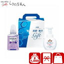 お歳暮 早割 2025 ライオン 清潔・衛生ギフト 225372-01 | お年賀 洗剤 ギフト 1000円 液体洗剤 洗濯用洗剤 石鹸 ハンドソープ 日用品 消耗品 衛生用品 挨拶回り 引越し 挨拶 開店 内祝い お返し 粗品 景品 記念品 参加賞 賞品 返礼品 粗供養 香典返し お礼 コンペ 出産