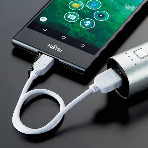 ブルートゥーススピーカー＆モバイルバッテリー 225465-02 |送料無料 防災備蓄品 防災グッズ 避難グッズ 災害グッズ 防災用品 アウトドア キャンプ 彼氏 父親 プレゼント 5000円 ギフト 粗品 引き出物 家族 女性 男性 防災ギフト 新築祝い 引越し祝い