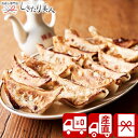 【送料無料 産地直送】栃木 宇都宮餃子さつきセット P34403 |母の日 早割 グルメ ご飯のお供 ぎょうざ ギョーザ 中華 おかず 食べ比べ ギフト セット 惣菜 詰め合わせ 贈り物 品物 お礼 お返し お祝い 結婚 出産 新築 退院 快気 食べ物 出産内祝い プレゼント