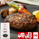 【送料無料 産地直送】松阪牛入り生ハンバーグ V34605 |お中元 お取り寄せ お肉ギフト ブランド牛 牛肉 ビーフ 5000円 松坂牛 洋食 総菜 おかず ...