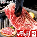 【送料無料 産地直送】氷温 R 熟成肉 国産黒毛和牛ロースステーキ V35706 |お中元 お取り寄せ ブランド牛 国産 和牛 肉 牛肉 グルメ ビーフ 1万円...
