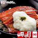 【送料無料 産地直送】浅草むぎとろ うなとろセット V35903 |お中元 早割 グルメ 食べ物 食品 鰻 ウナギ とろろ トロロ 総菜 おかず ご飯のお供 新築 退院 内祝い 手土産 お祝い お返し お礼 高級 1万円以下 誕生日 プレゼント 出産内祝い 快気内祝い 父親 母の日 父の日