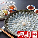【送料無料 産地直送】関とら本店 とらふく刺身セット V36106 |お中元 早割 ふぐ 河豚 フグ 海鮮 お魚 魚介類 グルメ 食べ物 食品 出産 新築 退院...