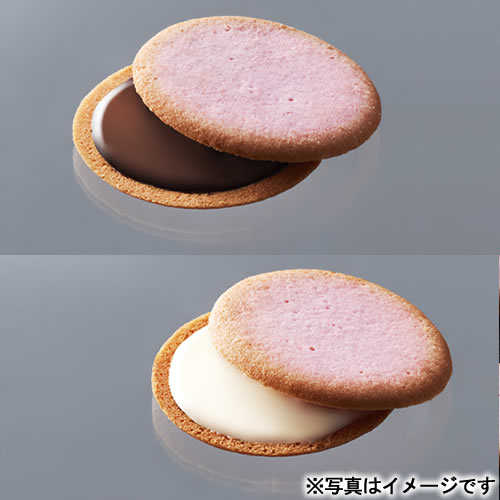 お返し ギフト専門店 しきたり美人のあまおう苺ラングドシャ SD2619-06 |お中元 御中元 送料無料 菓子折り 快気内祝 出産内祝い お菓子 スイーツ 洋菓子 焼き菓子 ギフト 5000円以下 個包装 内祝い 女性 お祝い お返し 挨拶 差し入れ 手土産 お礼 プレゼント 会社 職場 異動 退職 お礼 ご挨拶品｜アングル3