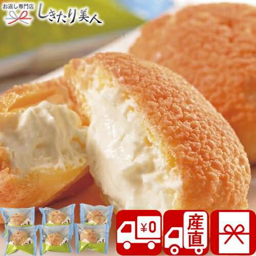 【送料無料 産地直送】乳蔵 北海道シュークリーム6個 C5230105T |お中元 早割 お取り寄せ 国産 シューアイス 洋菓子 お菓子 アイスクリーム スイーツ 差し入れ 出産祝い 新築内祝い お見舞い御礼 快気内祝い 誕生日 プレゼント 退職 お祝い 父の日 4000円以下 ギフト