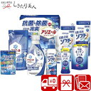 ギフト工房 アリエール抗菌除菌ギフト L9128558 |送料無料 アリエール 洗濯用洗剤 食器用洗剤 液体洗剤 詰め合わせ 日用品 消耗品 法事 法要 一周忌...