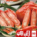 【お中元 送料無料 産地直送】ずわい蟹肩脚 V5032014T |御中元 早割 お取り寄せ グルメ かにギフト ズワイガニ 高級 お祝い 贈答用 1万円以下 海...