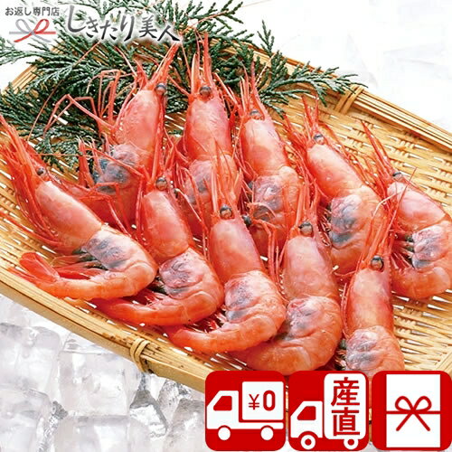 【お中元 送料無料 産地直送】山下水産 福井県産冷凍甘海老 V5032084T |御中元 早割 暑中見舞い 残暑見舞い 夏ギフト 帰省土産 手土産 品物 お取り寄せ グルメ 惣菜 甘えび お刺身 新鮮 海鮮 おかず 食品 食べ物 ギフト 贈り物 プレゼント 父の日 【お中元 送料無料 産地直送】山下水産 福井県産冷凍甘海老 V5032084T |御中元 早割 暑中見舞い 残暑見舞い 夏ギフト 帰省土産 手土産 品物 お取り寄せ グルメ 惣菜 甘えび お刺身 新鮮 海鮮 おかず 食品 食べ物 ギフト 贈り物 プレゼント 父の日