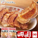 【お中元 送料無料 産地直送】大阪王将 羽根つき餃子2袋セット V5046036T |御中元 早割 食べ物 有名店 グルメ 中華料理 ギフト 餃子 王将 簡単調...