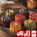 お歳暮 早割 2025 【御歳暮 送料無料 産地直送】銀座京橋 レ ロジェ エギュスキロール 銀座ミニカヌレ V6007535T |お年賀 お取り寄せ スイーツ...