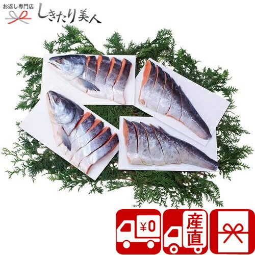お歳暮 早割 2025 【御歳暮 送料無料 産地直送】北海道産銀毛新巻鮭姿切身 V6019528T |お年賀 新年 御..