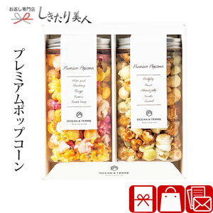 Premium ポップコーンC A145 |バレンタイン お年賀 プレゼント おしゃれ かわいい スイーツ お菓子 2000円 ギフト 結婚 出産 新築 快気 退院 内祝い お祝い お返し 誕生日 友達 女性 会社 差し入れ ちょっとした お礼 退職 転勤 異動 挨拶 菓子折り 記念品 景品