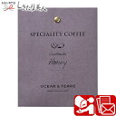 Speciality Coffee 11 グァテマラ A505 |ドリップ コーヒー 珈琲 個包装 結婚 内祝い お祝い 自治会 コンペ ビンゴ ばらまき 返礼...