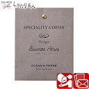 Speciality Coffee 12 ニカラグア A506 |お中元 早割 ドリップ コーヒー 珈琲 個包装 内祝い お祝い 自治会 コンペ ビンゴ ばらま...
