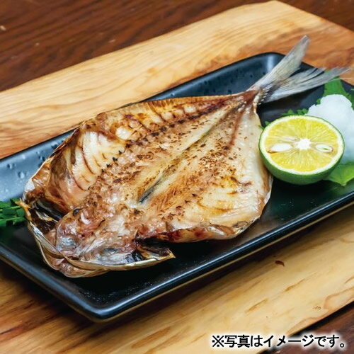 【送料無料 産地直送】五島灘の塩 寒風干し干物詰合せ PFHI-032 |母の日 父の日 早割 プレゼント グルメ 干物セット 1万円 詰め合わせ 海鮮ギフト おかず 食品 食べ物 ご飯のお供 和食 結婚内祝い 快気内祝い 香典返し お返し 退職祝い 両親 父親 出産内祝い お礼 お祝い
