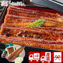 【送料無料 産地直送】特大 鹿児島県産うなぎ蒲焼セット 永谷園お吸い物付 PFU-018A |お中元 早割 出産祝い プレゼント グルメ 国産 鰻 うな重 丼 ...