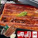 【送料無料 産地直送】特大 鹿児島県産うなぎ蒲焼セット 永谷園お吸い物付 PFU-019A |お中元 早割 プレゼント グルメ 国産 鰻 うな重 丼 高級 お祝...