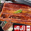 【送料無料 産地直送】特大 鹿児島県産うなぎ蒲焼セット 永谷園お吸い物付 PFU-020A |お中元 早割 プレゼント お取り寄せ グルメ 国産 鰻 うな重 高...