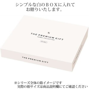 今治 The WHITE ザ ホワイト 日本製 愛媛今治 タオルセット 65650 |お歳暮 早割 今治タオル 上質 国産 日用品 5000円 ギフト 結婚 出産 新築 退院 快気 内祝い 還暦 お祝い 法事 香典返し 返礼品 粗品 品物 お見舞い お返し お礼 プレゼント お年賀 御歳暮通販 年賀状印刷 年賀状作成ソフト セール