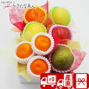 お歳暮 早割 2025 【送料無料 産地直送】野菜ソムリエ厳選!旬を満喫 季節のフルーツボックス Cコース FB-C | お年賀 フルーツ 4000円 プレゼン...