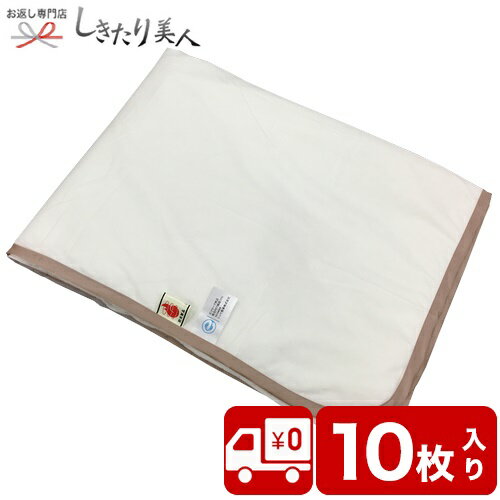 お歳暮 早割 2025 災害備蓄用 難燃性不織布毛布 ホワイト 無地 10枚入り NK-10 | 送料無料 防災備蓄品 防災グッズ 避難 災害グッズ セット 防...