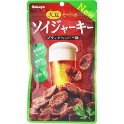 カバヤ食品 ソイジャーキー 45g×8個