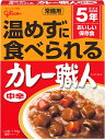 江崎グリコ 常備用カレー職人中辛 170g×10個