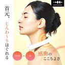温熱&EMSで温めてやわらげるWAVEWAVE EMSポケットヒートネック2wavewave201コードレス 首 ストレートネック 肩 EMS 温熱 スマホ首 パソコン仕事 低周波パルス 温活 充電式 ボディケア プレゼント POKET HEAT NECK2