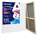 AUREUO 張りキャンバス セット F40 (100cmX80.3cm) 中目 綿化繊混紡 2枚 初心者 絵画用具 芸術絵創作 現代油絵 美術装飾 水彩画・油...