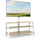 FITUEYES テレビスタンド オーディオラック マウント付き 37?70インチテレビ対応 幅100cm 耐荷重35kg 高さ調節可能 大容量収納 安定性よい 木製 TW-A31003WN