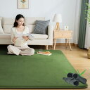 Softime カーペット ラグ 極厚25mm ラグマット防音 厚手 竹炭消臭 185×185cm 約2畳 絨毯 滑り止め付 防ダニ 抗菌 防臭 地毯 高反発 オールシーズン快適 床暖房 ホットカーペット対応 こたつ敷きマット じゅうたん 低反発と同じ厚み