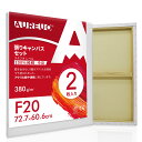 AUREUO 張りキャンバス セット F20 (72.7cmX60.6cm) 中目 100%コットン 2枚 初心者 絵画用具 芸術絵創作 現代油絵 美術装飾 水彩画・油絵画・アクリル兼用