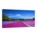 アートパネル 富士山 桜 絵画 赤富士 白雲 桜の絵 山の絵 自然 玄関 風水 開運 額入り お風呂ポスター 部屋飾り 新築飾り 壁掛け絵 木枠付きの完成品(40x80cm)