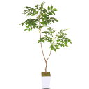 人工観葉植物 フェイクグリーン 光触媒 造花 人工植物 【シマトネリコ 高さ110cm】観葉樹 消臭 抗菌 インテリアグリーン おしゃれ オフィス 室内 装飾