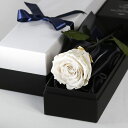 Makefuture Diamond Rose プリザーブドフラワー 花 バラ 化粧箱入り 1輪 (プラチナホワイト, オプションなし)