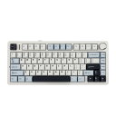 EPOMAKER x Aula F75 ゲーミングキーボード ガスケット メカニカルキーボード 5層パッド&ノブ付き 75% ワイヤレス ホットスワッパブル Bluetooth/2.4GHz/USB-C RGB 技適認証取得 (Light Blue, Cr