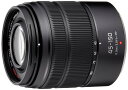 パナソニック(Panasonic) 望遠ズームレンズ マイクロフォーサーズ用 ルミックス G VARIO 45-150mm/F4.0-5.6 ASPH. /MEGA . ブラック H-FS45150-KA