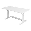 Bauhutte( バウヒュッテ ) ゲーミングデスク 昇降式 PCデスク (幅 120 × 奥行 55 高さ 59~80 cm ) ホワイト BHD-1200M-WH