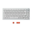DrunkDeer A75 Pro ラピッドトリガー メカニカルゲーミングキーボード サイレント磁気スイッチ 調節可能な作動 PBT キーキャップ チェリープロファイル RGB 75% 82キー ANSI 有線 ノブ付き、ホワイト