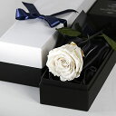 Makefuture Diamond Rose 2022 プリザーブドフラワー 花 誕生日 一輪 バラ プロポーズ ダイヤモンドローズ アモローサ (プラチナホワイト, ショッパー付き)