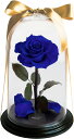 AMOROSA アモローサ プリザーブドフラワー デスティニーローズ(1本立ち) エクセレントブルー クリスマス ギフト 花 誕生日 記念日 プロポーズ AM20-61