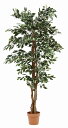 不二貿易 フェイクグリーン インテリアグリーン 人工観葉植物 幅90×奥行90×高さ170cm フィカスB 大型 52664