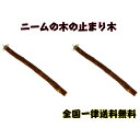 川井 ニームパーチ S サイズ × 2個セット / 天然木 鳥